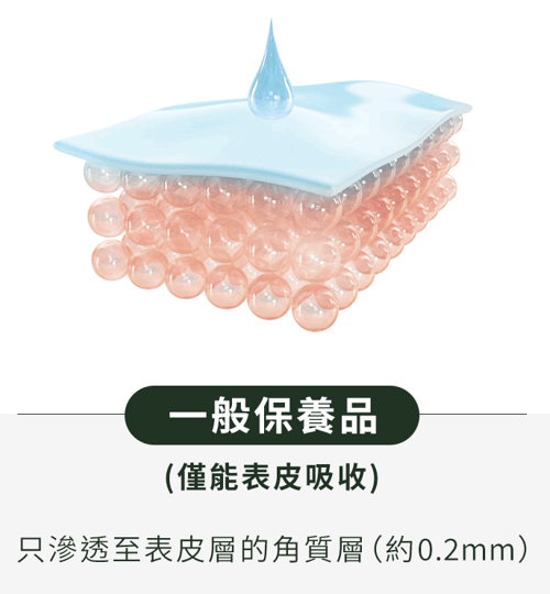 ONDA 一般保養品滲透限制解析：護膚成分僅能抵達表皮角質層約0.2mm深度，難以解決真皮層缺水問題-致然雅暮醫美診所